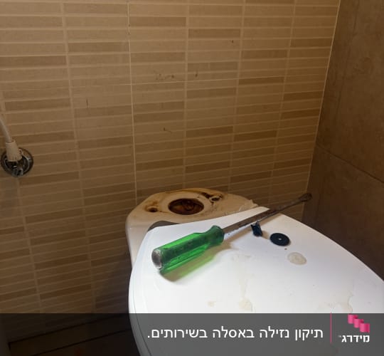 אסלה עם מברג ירוק על המכסה בחדר אמבטיה